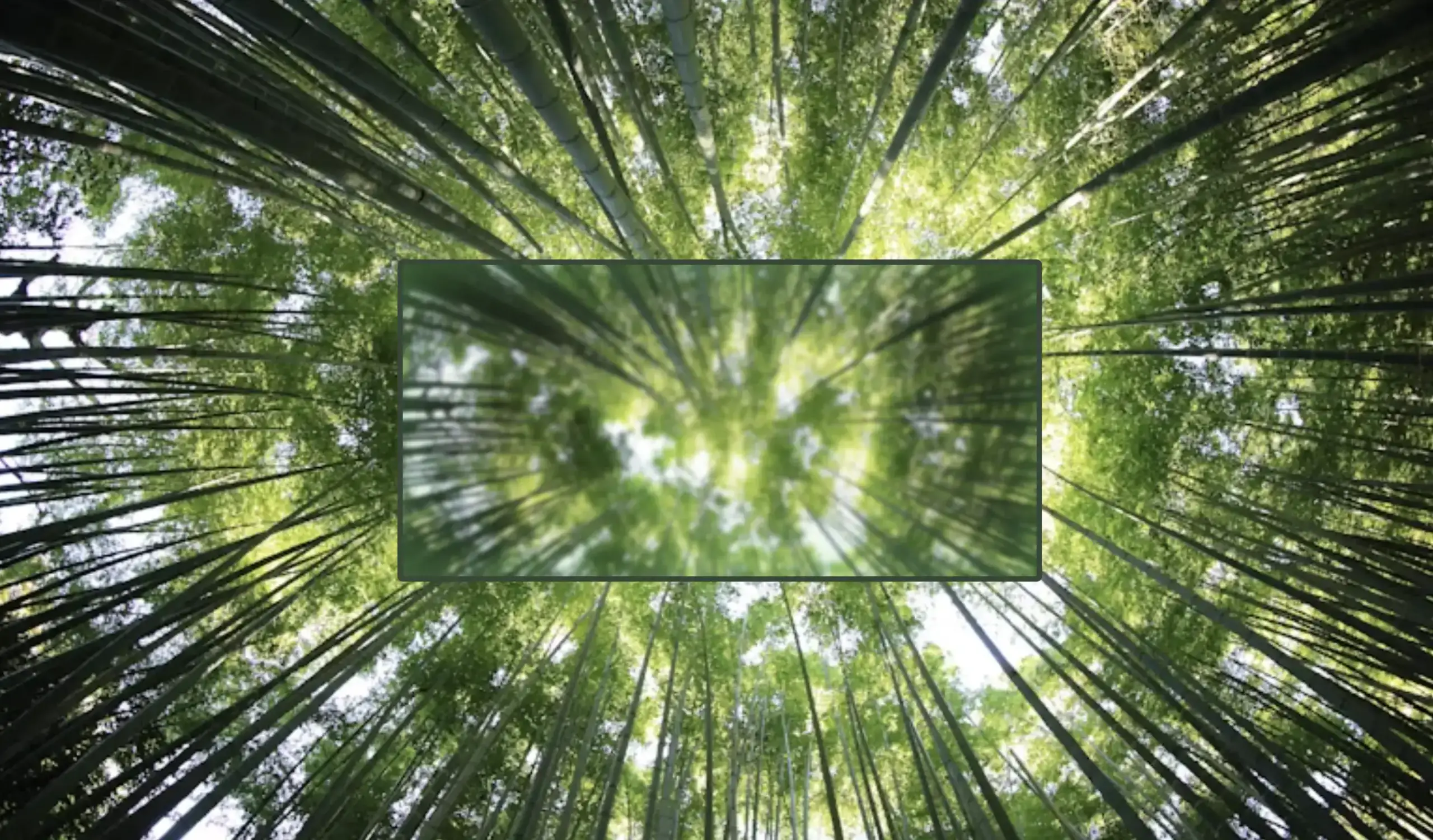 Introduction To The Powerful CSS Blur Effect