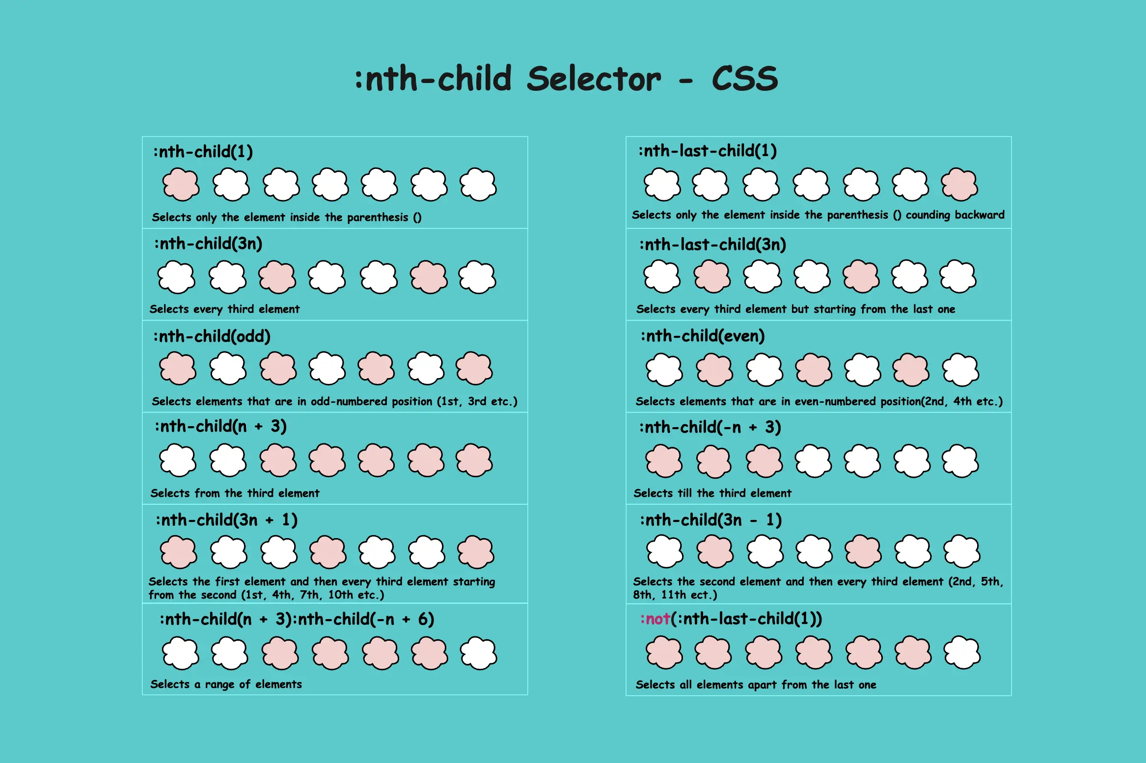 All You Need to Know About the CSS nth child Selector