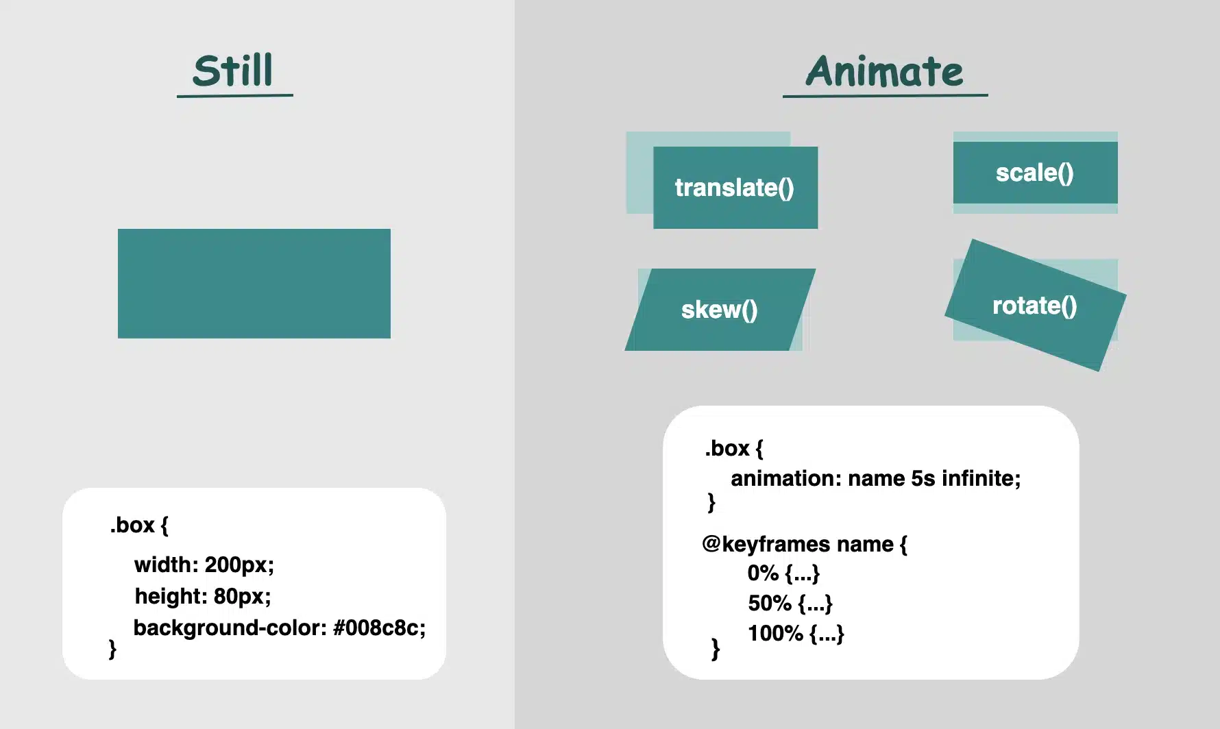 Static VS Dynamic Design With CSS – From Stillness to Action